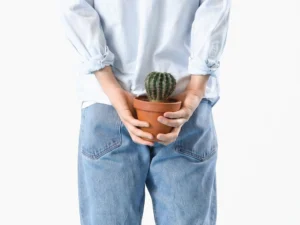 ผ่าตัดริดสีดวงทวารโดยใช้เลเซอร์